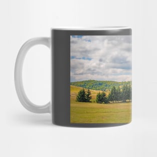 Summer Landscape Near Gornje Ratkovo, Bosnia Mug